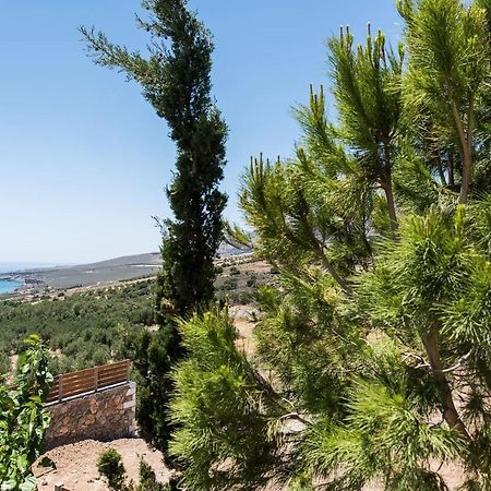 Villa Olvia Sfakia Exterior foto