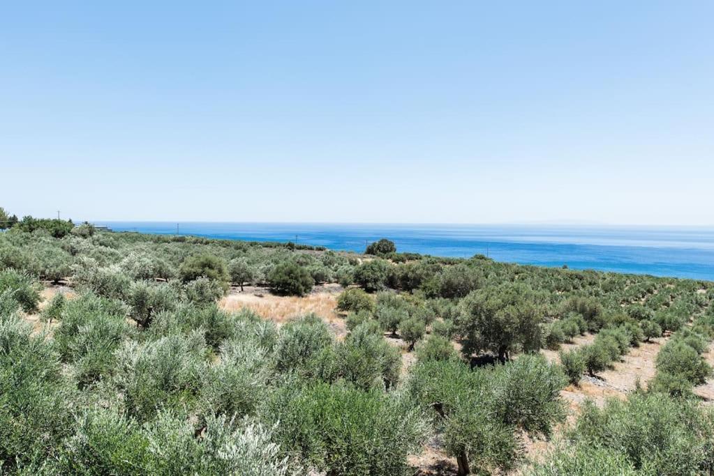 Villa Olvia Sfakia Exterior foto