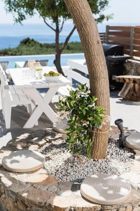 Villa Olvia Sfakia Exterior foto